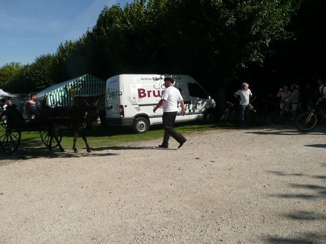 dimanche (22).jpg